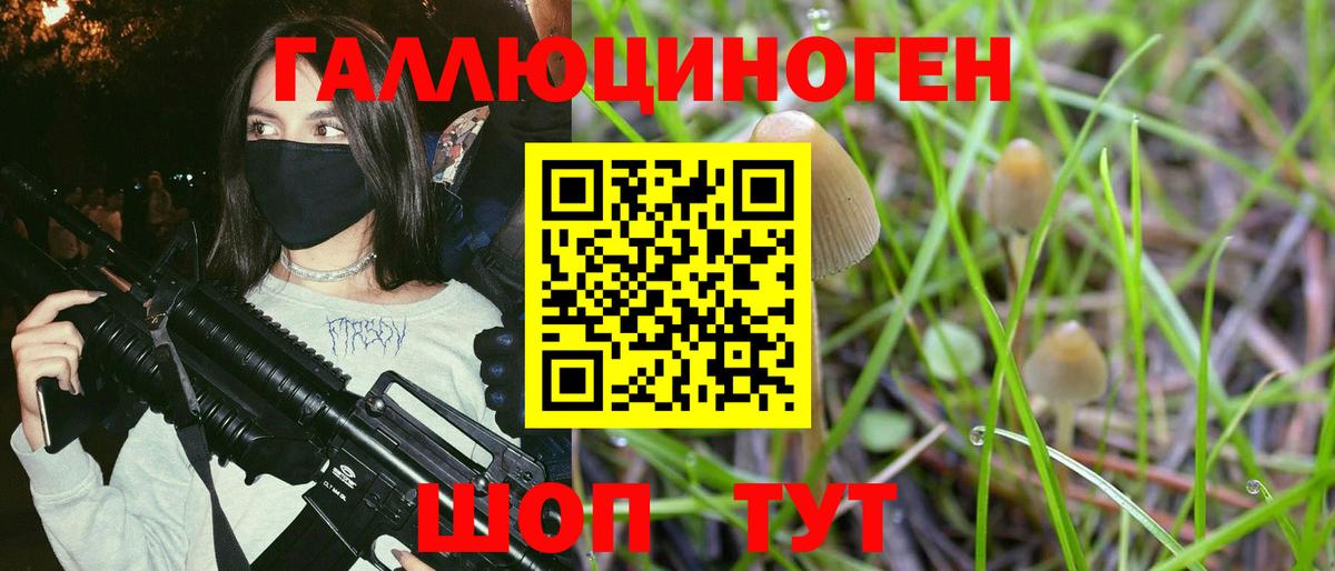 купить  цена  Вход с VPN  Реж  Псилоцибиновые грибы Psilocybe 
